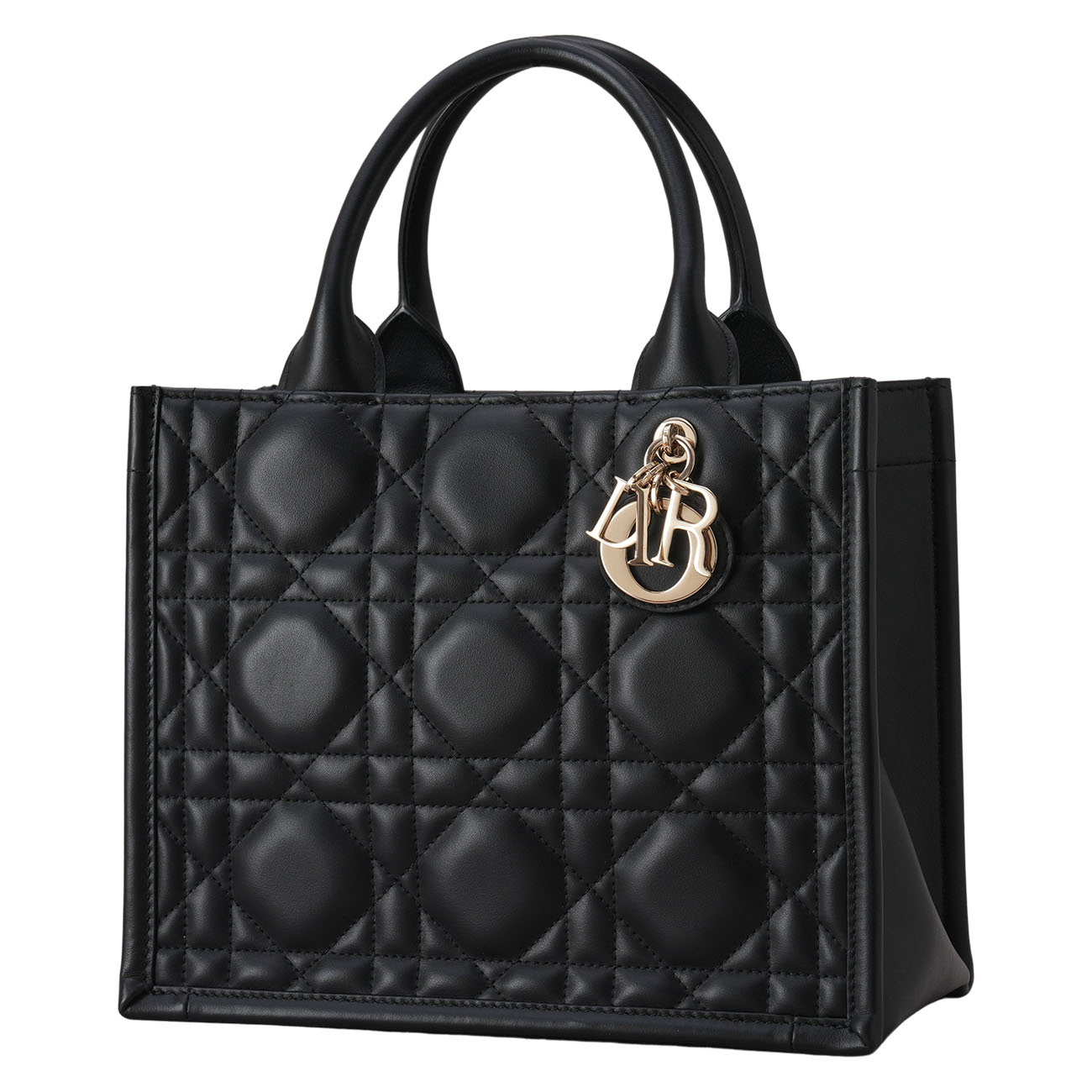 CHRISTIAN DIOR(USED)디올 레더 북토트 스몰